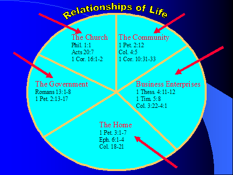 Relationships Of Life